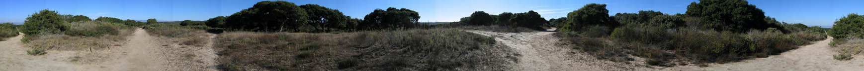 Ft. Ord Panorama